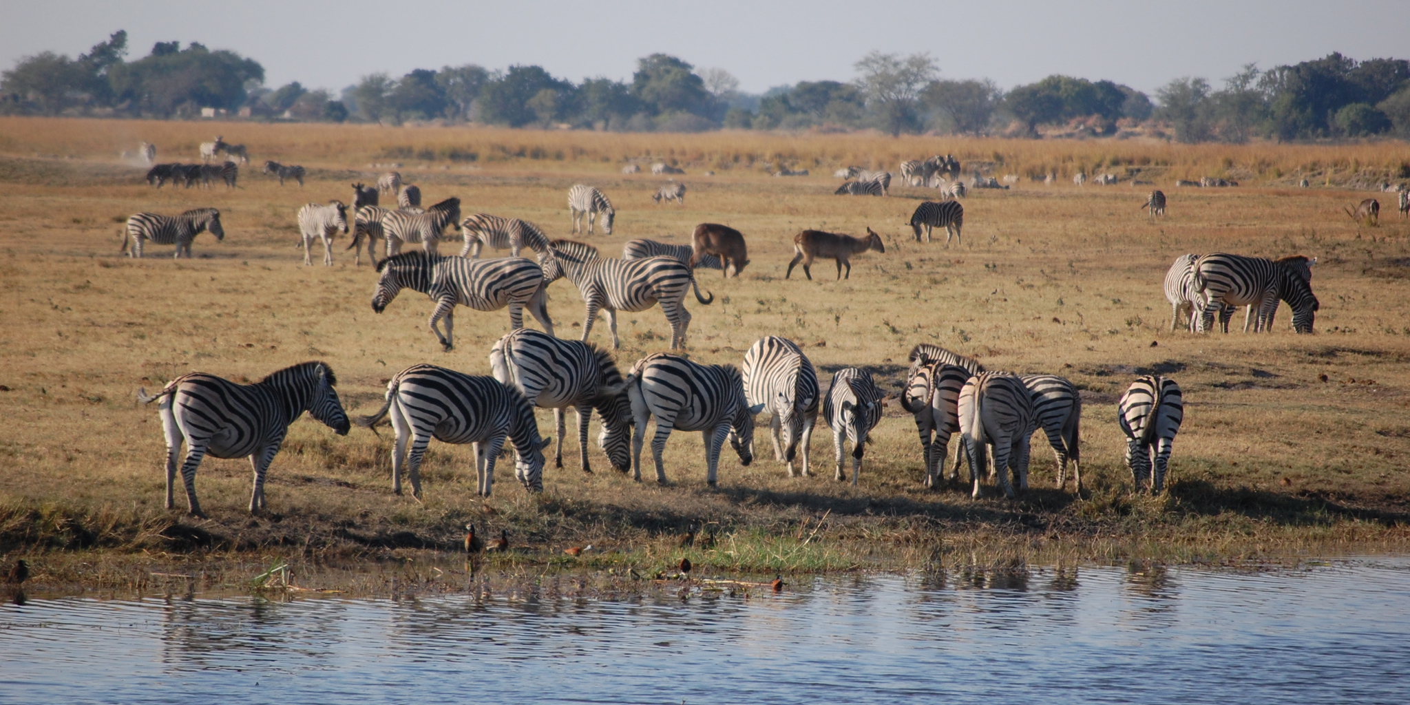 Chobe National Park